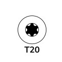 t20
